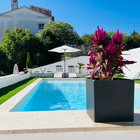 Pombal - Luxury With Private Pool And Castle View Вилла Томар